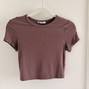 Zara Women's Brown Crop Top